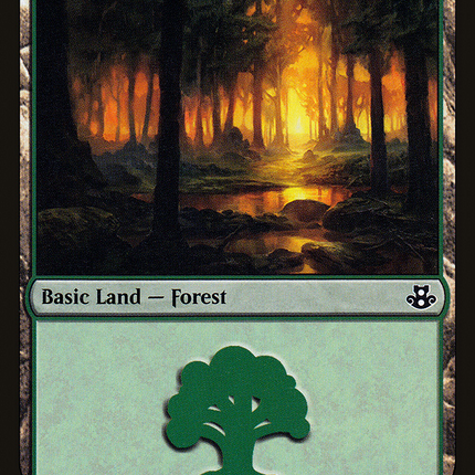 Forest (064) [Duel Decks: Elspeth vs. Kiora]