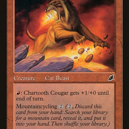 Chartooth Cougar [Scourge]