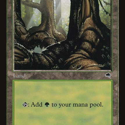 Forest (348) [Tempest]