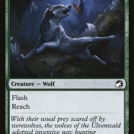 Bounding Wolf [Innistrad: Midnight Hunt]