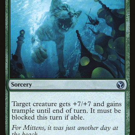 Enlarge [Iconic Masters]