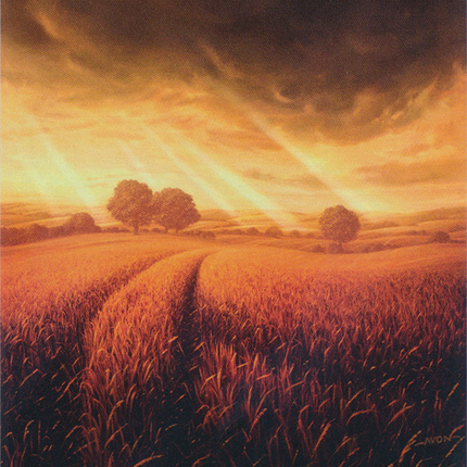 Plains (212) (Borderless) [Unstable]