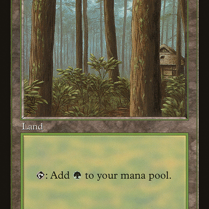 Forest (001) [Asia Pacific Land Program]
