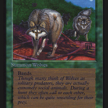 Timber Wolves [Intl. Collectors' Edition]