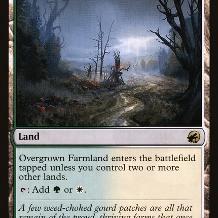 Overgrown Farmland [Innistrad: Midnight Hunt]