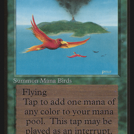 Birds of Paradise [Limited Edition Beta]