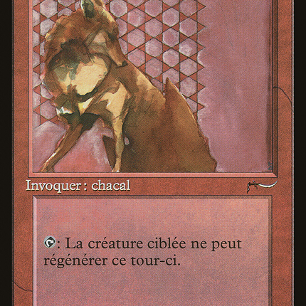 Hurr Jackal - Chacal d'Hurr  [Renaissance]