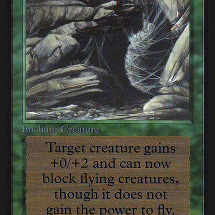 Web [Collectors' Edition]