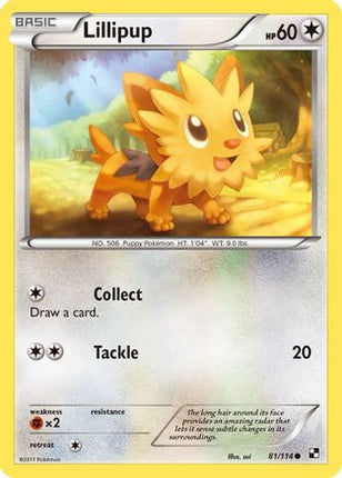 Lillipup (81) - 81/114 [Black and White] Reverse Holofoil