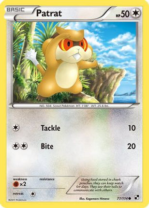 Patrat (77) - 77/114 [Black and White] Reverse Holofoil