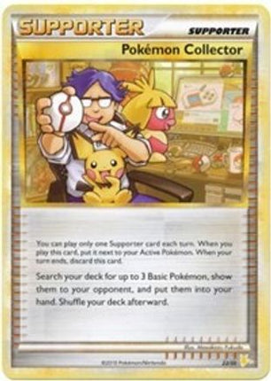 Pokemon Collector (#) 27- HGSS Trainer Kit Gyarados & Raichu