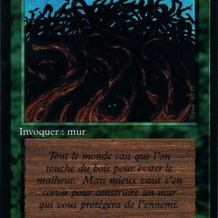 Wall of Wood - Mur de bois  [Foreign Black Border]