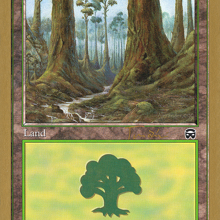 Forest (JT349) [World Championship Decks 2001]