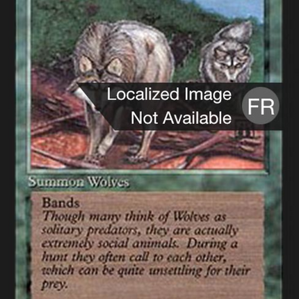 Timber Wolves - Loups des forêts  [Foreign Black Border]