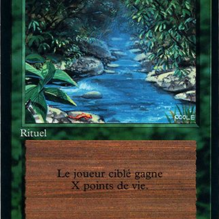 Stream of Life - Source de vie  [Foreign Black Border]