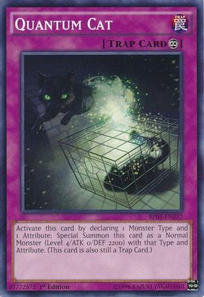 Quantum Cat (Common / Short Print) [BP03-EN237] 1st Edition