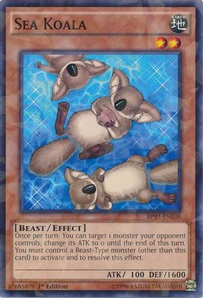 Sea Koala (Shatterfoil) (Shatterfoil Rare) [BP03-EN038] 1st Edition