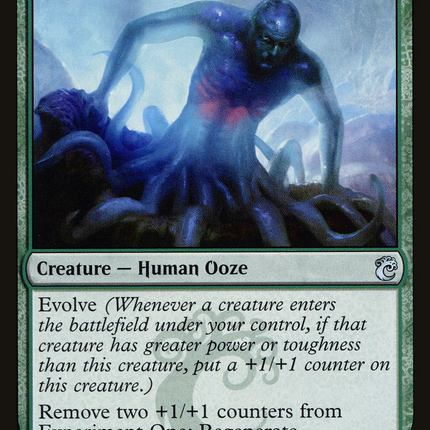 Experiment One [RNA Guild Kit]