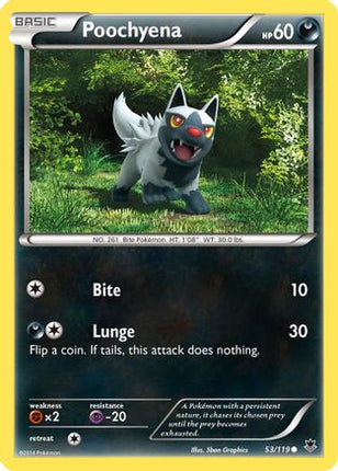 Poochyena - 53/106 [XY - Phantom Forces]