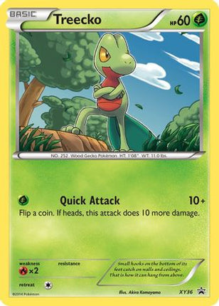 Treecko - XY36 - null/null [XY Promos] Holofoil