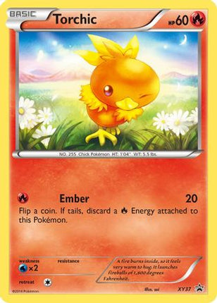 Torchic - XY37 - null/null [XY Promos] Holofoil