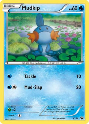 Mudkip - XY38 - null/null [XY Promos] Holofoil