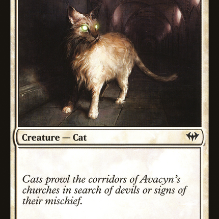 Sanctuary Cat [Dark Ascension]