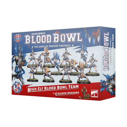 Blood Bowl Team: High Elf - The Caledor Dragons