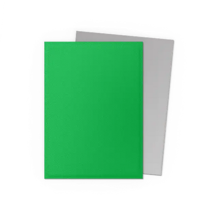 Dragon Shield Standard -Apple Green & Silver - Matte Dual Sleeves