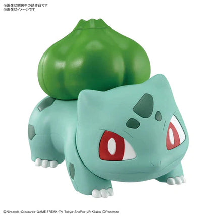 Pokémon Model Kit QUICK!! Bulbasaur