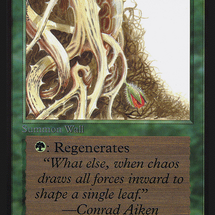 Wall of Brambles [Intl. Collectors' Edition]