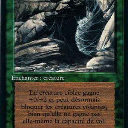 Web - Tisseur de toile  [Foreign Black Border]