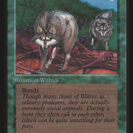 Timber Wolves [Limited Edition Beta]