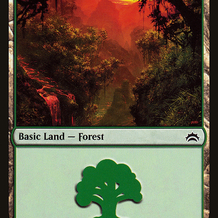 Forest (153) [Planechase Anthology]