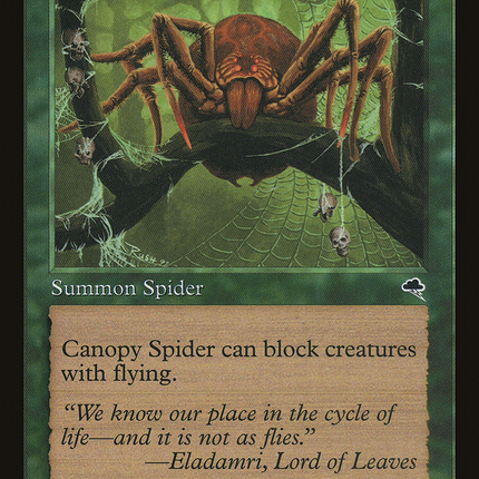 Canopy Spider [Tempest]