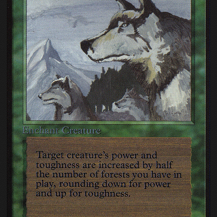 Aspect of Wolf [Intl. Collectors' Edition]
