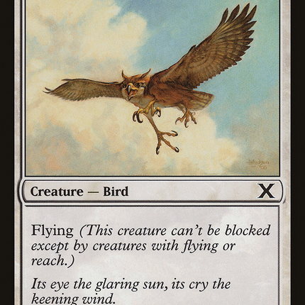 Suntail Hawk [Tenth Edition]
