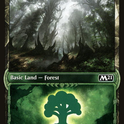 Forest (313) (Showcase) [Core Set 2021]