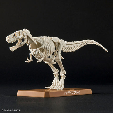 Plannosaurus #01 Tyrannosaurus Model Kit