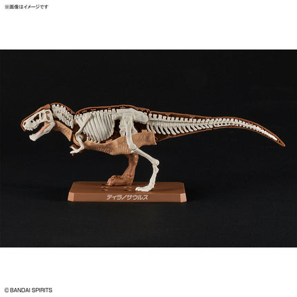 Plannosaurus #01 Tyrannosaurus Model Kit