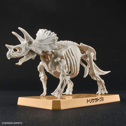 Plannosaurus #02 Triceratops Model Kit