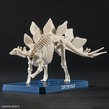 Plannosaurus #03 Stegosaurus Model Kit