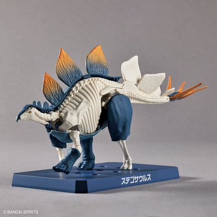 Plannosaurus #03 Stegosaurus Model Kit