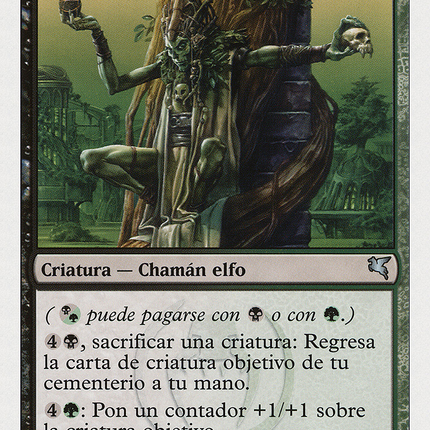 Golgari Guildmage - Mago del Gremio Golgari  [Salvat 2005]