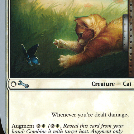 Half-Kitten, Half- [Unstable]