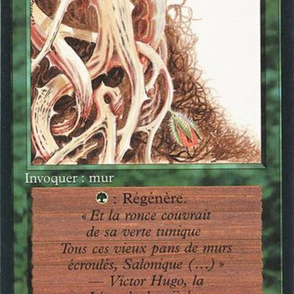 Wall of Brambles - Mur de ronces  [Foreign Black Border]