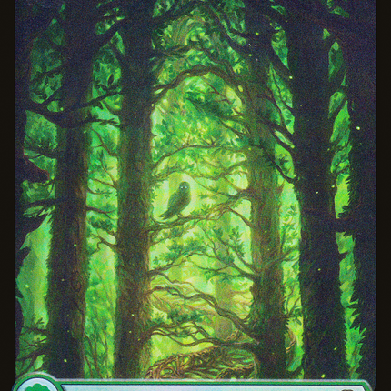 Forest (010) (Full Art) [Judge Gift Cards 2023] Foil