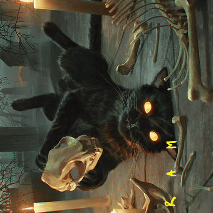 Nine-Lives Familiar // Nine-Lives Familiar (Borderless) [Foundations Art Series]