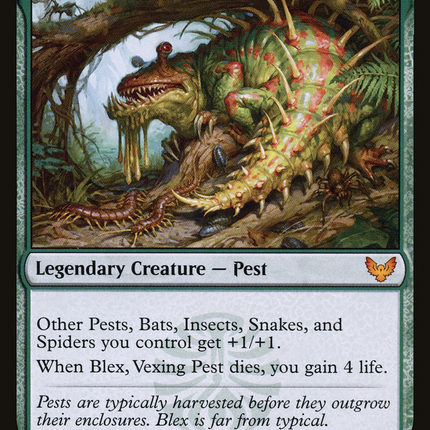 Blex, Vexing Pest // Search for Blex [Strixhaven: School of Mages]