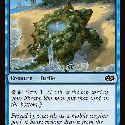 Tidepool Turtle [Foundations Jumpstart]